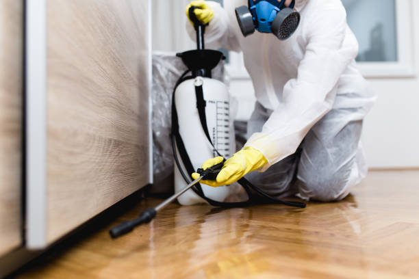 Professional Pest Control in Pendleton, OR