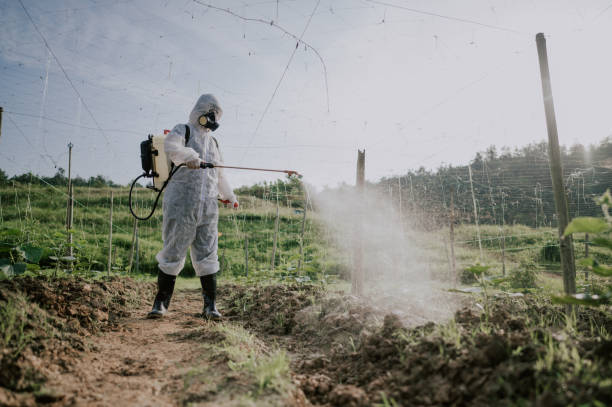 Best Termite Control Services  in Pendleton, OR