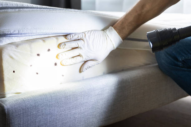 Best Exterminator Services  in Pendleton, OR