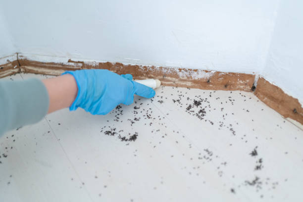 Best Pest Control Near Me  in Pendleton, OR